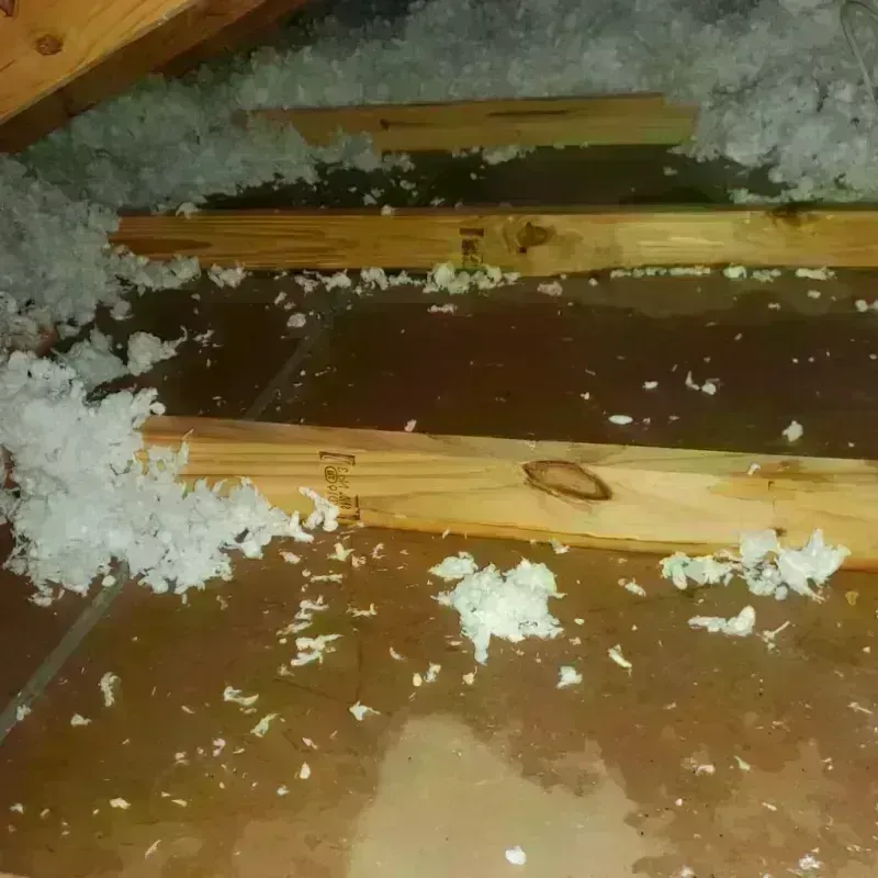 Attic Water Damage in Lake Nebagamon, WI