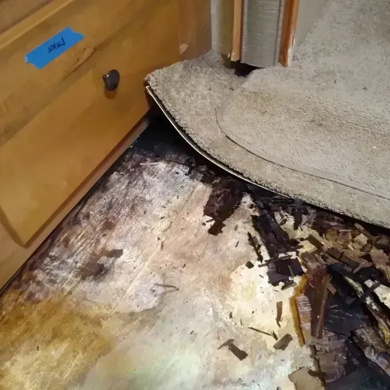 Wood Floor Water Damage in Lake Nebagamon, WI